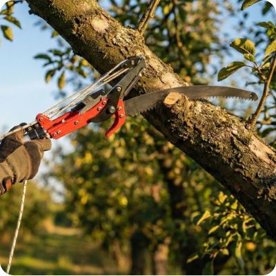 Возможности