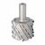 DTJ Фреза DIA D=80 I=65 S=25x50 RH H=4 Z=4+4 <30 градусів BUP Utensili (OEM) DTJ.80.065.25.1SR