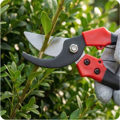 Надійна та зносостійка