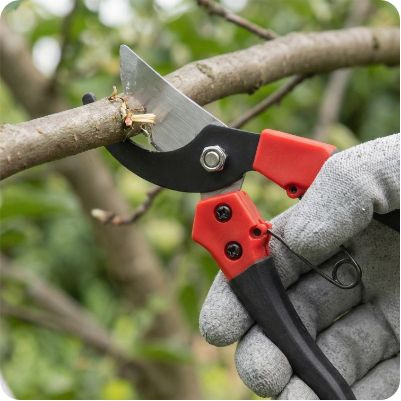 Призначення