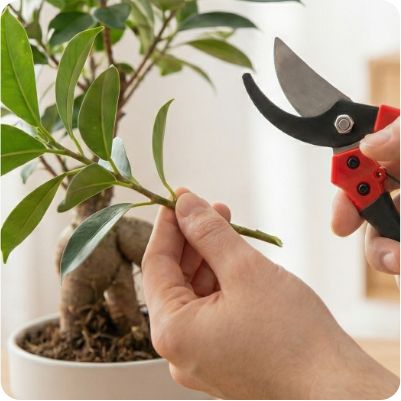 Зручність в роботі